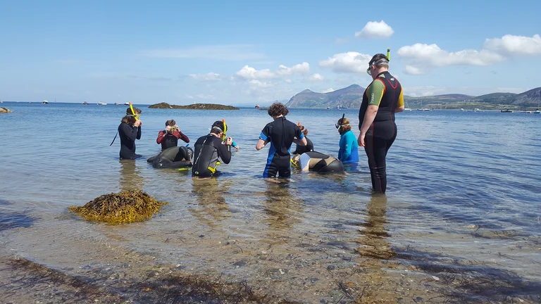 Seasweed search at Freshwater West