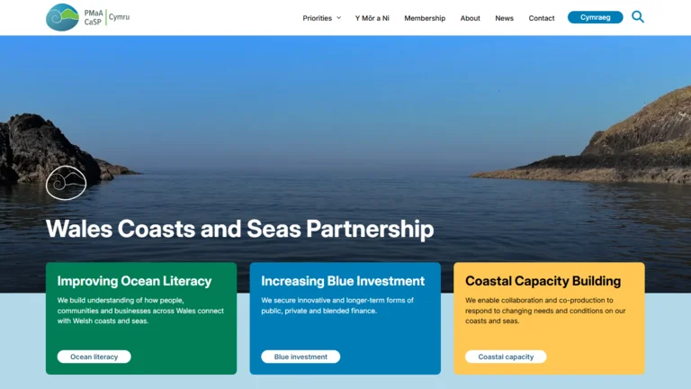 CaSP Homepage at launch (E-V2)