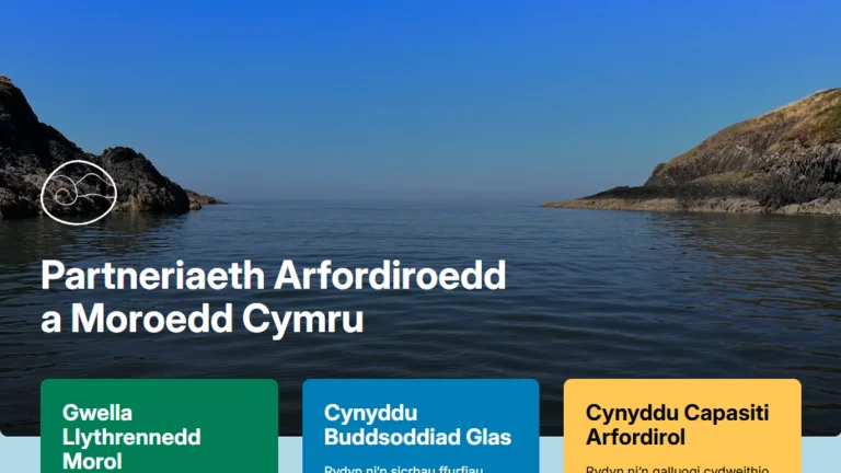 CaSP Webpage at launch (Cymraeg)
