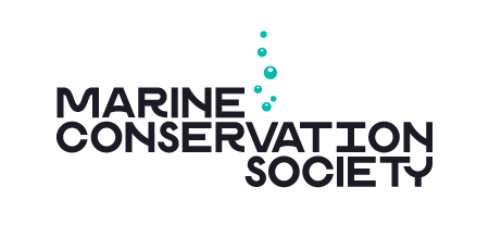 MCS Logo