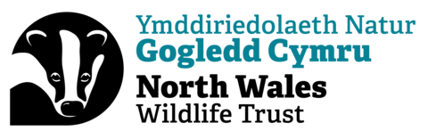 NWWT Logo