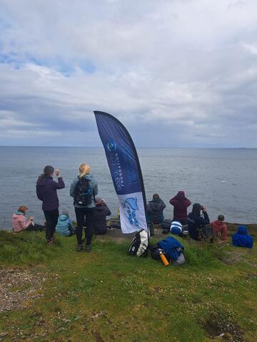 Sea watchers 
