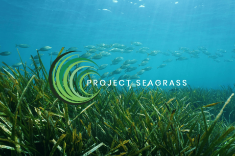 Project Seagrass