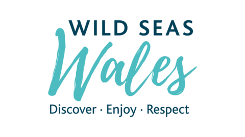Wild Seas Wales 