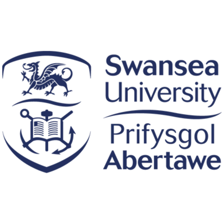 Swansea University